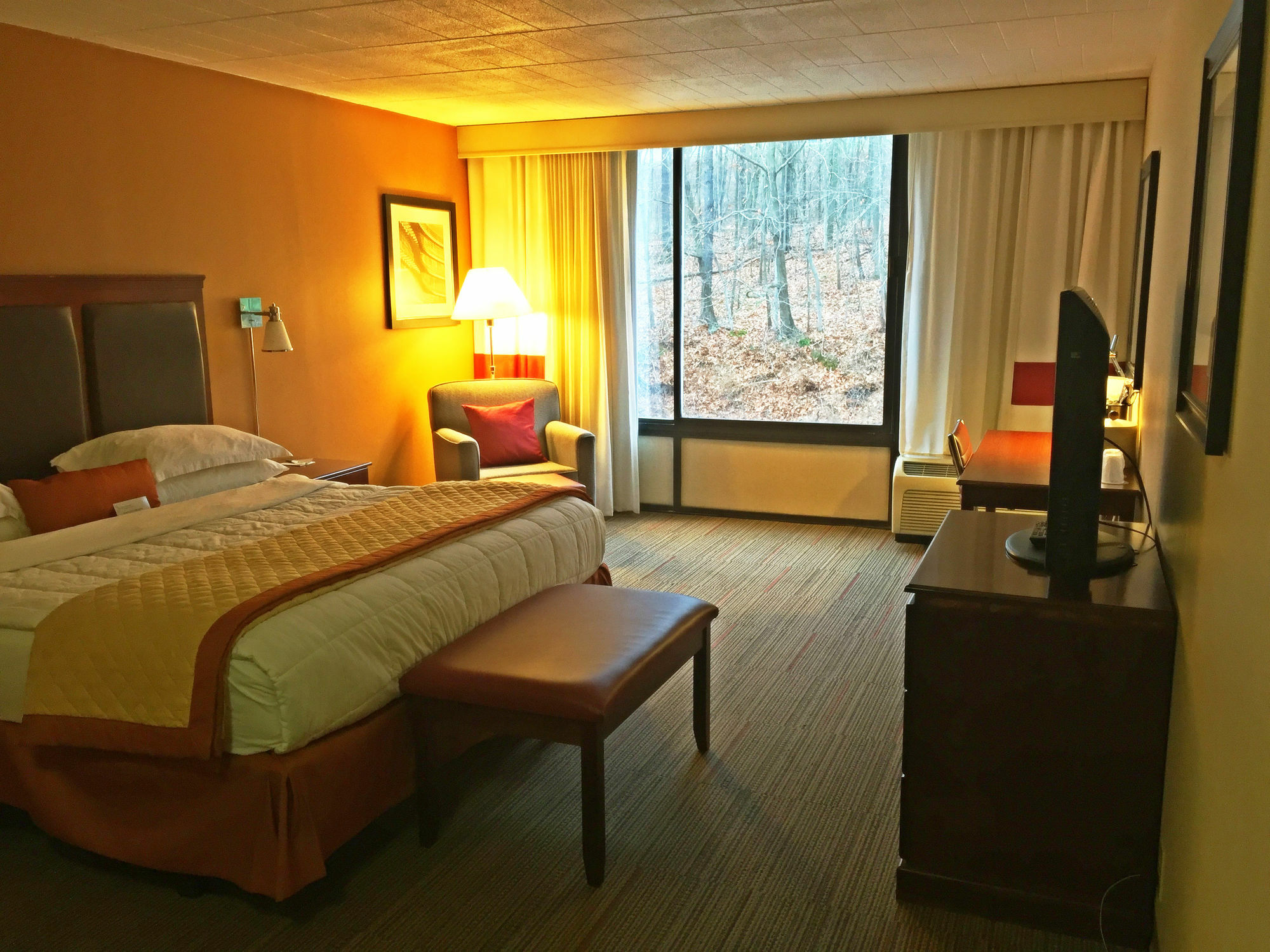 Wyndham Garden Inn Pittsburgh Airport Robinson Township  Exterior photo